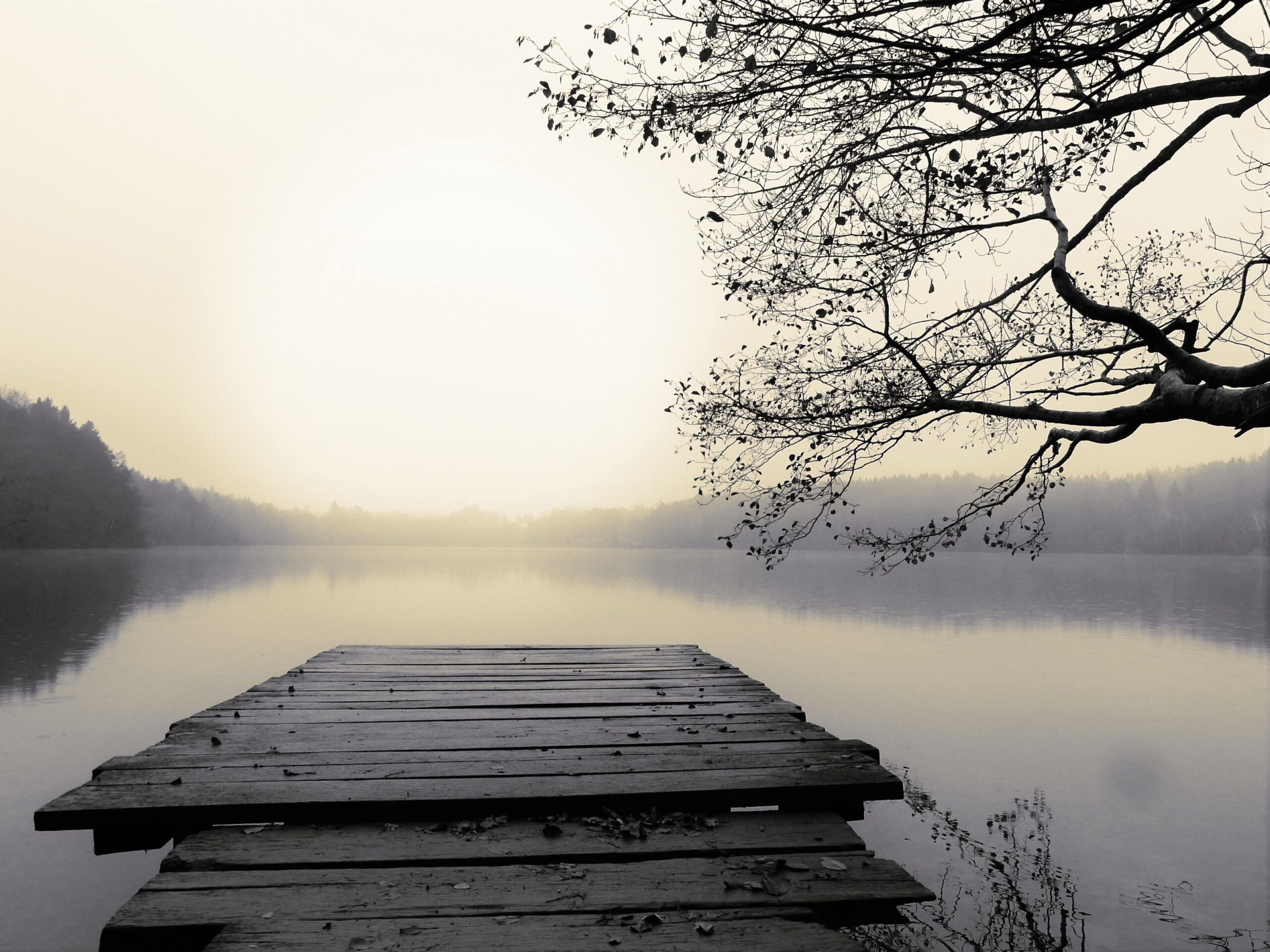 lake-5794778